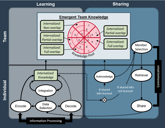 Emergence of collective and distributed knowledge in teams